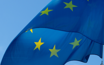 Relevance of new political guidelines for the next European Commission for familial resilience