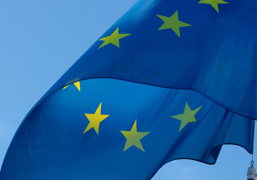 Relevance of new political guidelines for the next European Commission for familial resilience