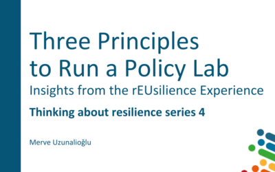 Three Principles to Run a Policy Lab: Insights from the rEUsilience Experience