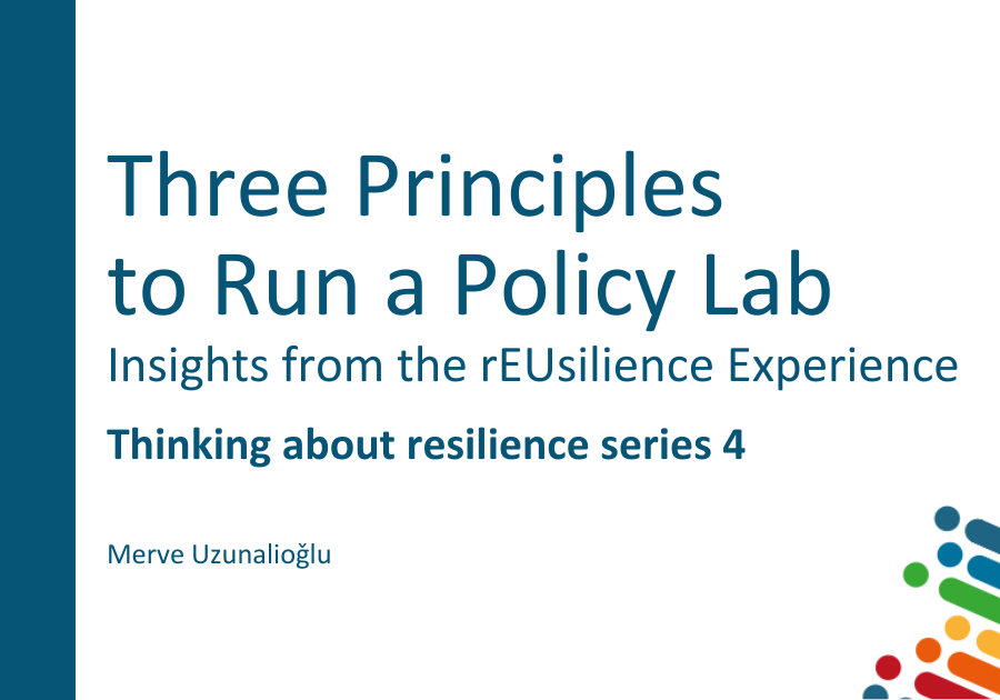 Three Principles to Run a Policy Lab: Insights from the rEUsilience Experience