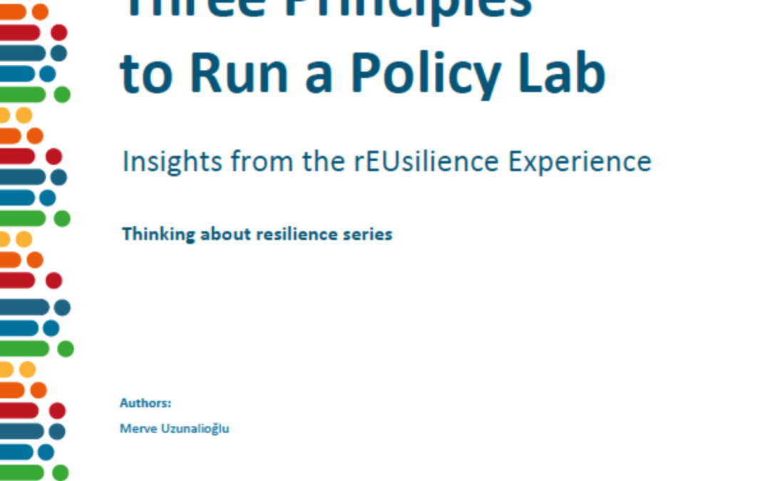 Three Principles to Run a Policy Lab: Insights from the rEUsilience Experience