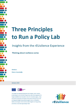 Three Principles to Run a Policy Lab: Insights from the rEUsilience Experience