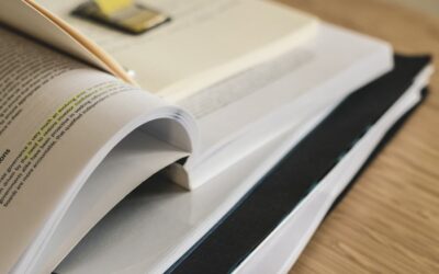 Demographic Research, a peer-reviewed, open-access journal published rEUsilience’s Scoping Review of the Empirical Literature regarding Family and Social Resilience.